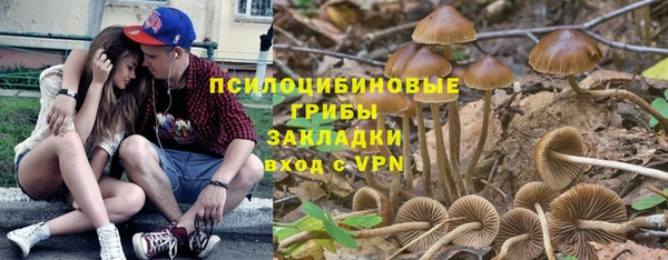 apvp Струнино