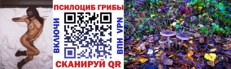 Псилоцибиновые грибы MAGIC MUSHROOMS  Кстово 