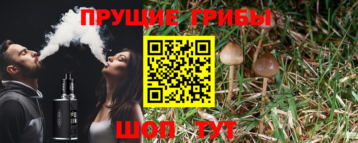 Галлюциногенные грибы мухоморы  Вход с VPN  Кстово  Псилоцибиновые грибы Psilocybe 