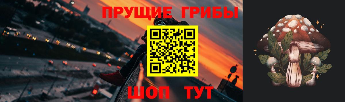 Псилоцибиновые грибы GOLDEN TEACHER Кстово
